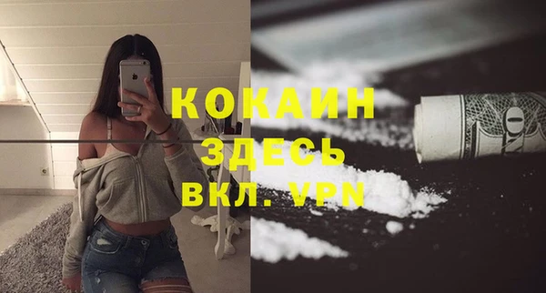 сатива Магадан