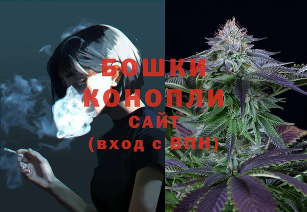 прущая мука Магас