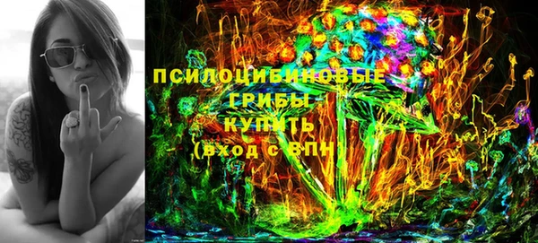 сатива Магадан