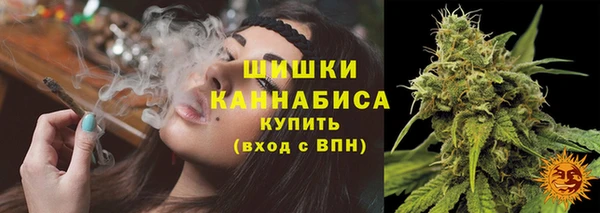 сатива Магадан